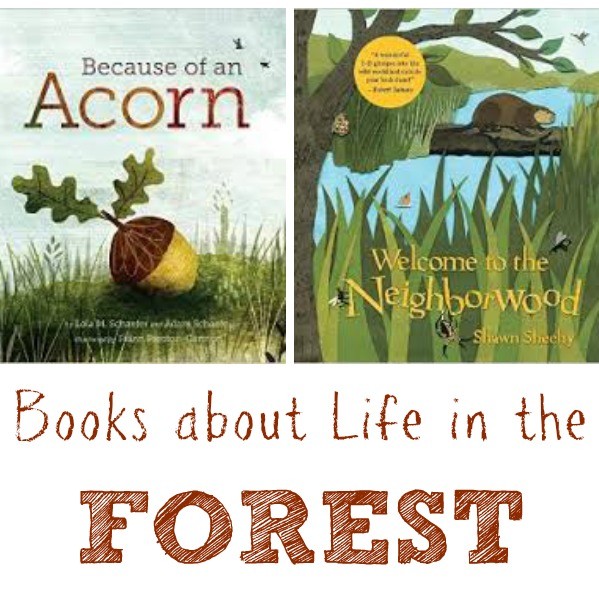 10 Children S Books About Forest Life Woodland Animals Edventures With Kids