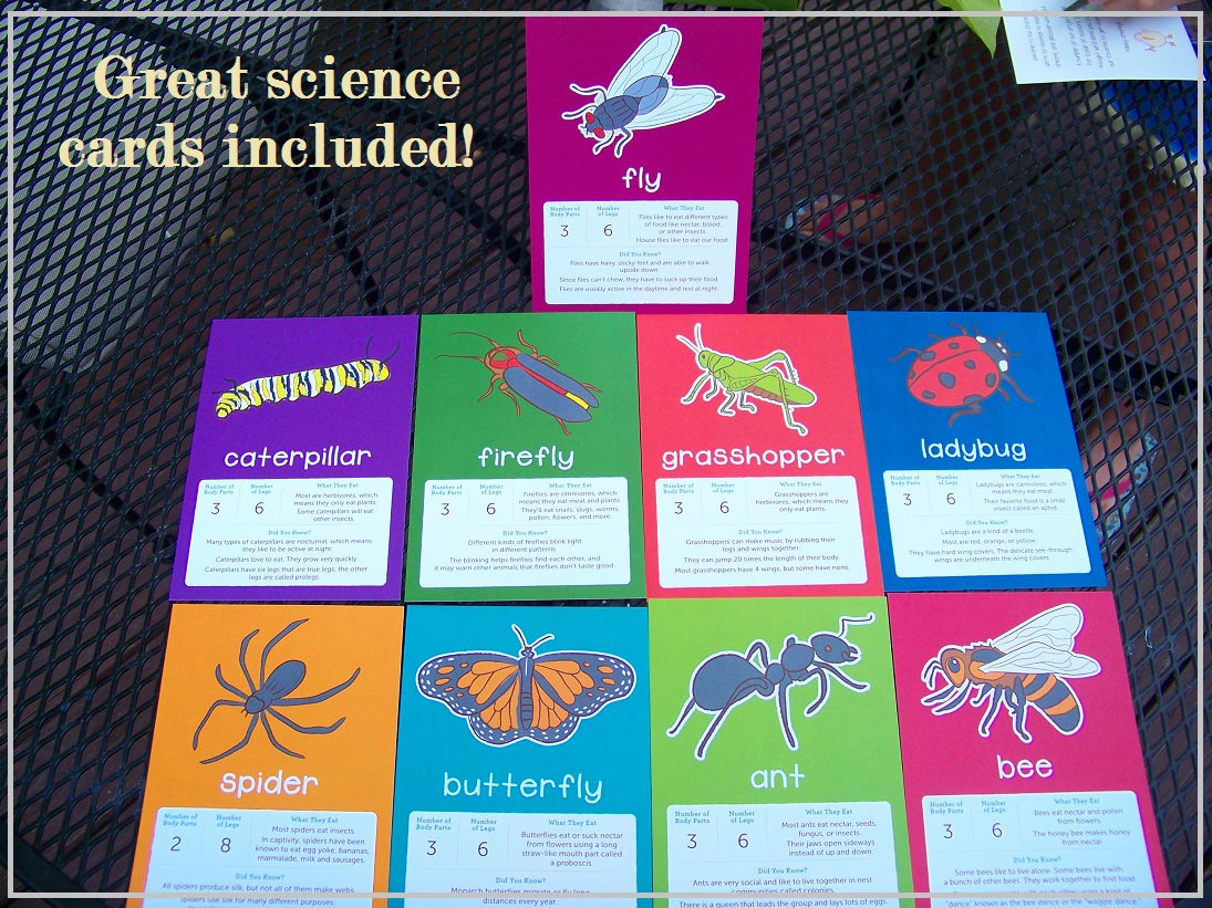 science-cards-kiwi-crate