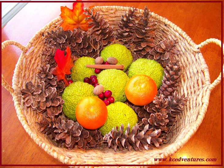 Nature Basket for the Thanksgiving Table