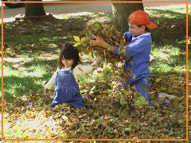 play-in-leaves