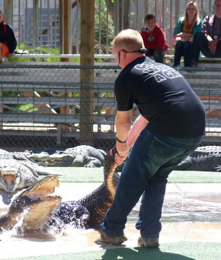 Reptile Gardens - Family Fun in South Dakota