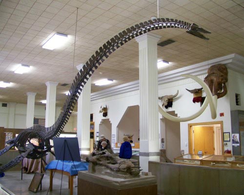 Fossils in South Dakota
