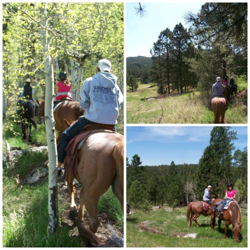 Trail Rides in the Black Hills