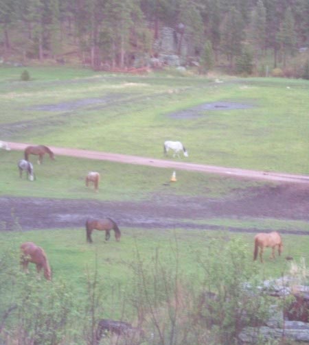 Cabin in the Black Hills South Dakota