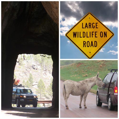 Driving tips for Custer Park