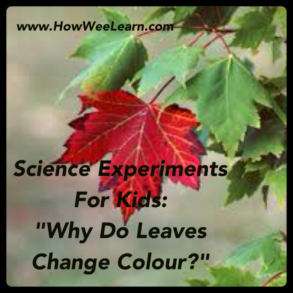 Why do leaves change colors?