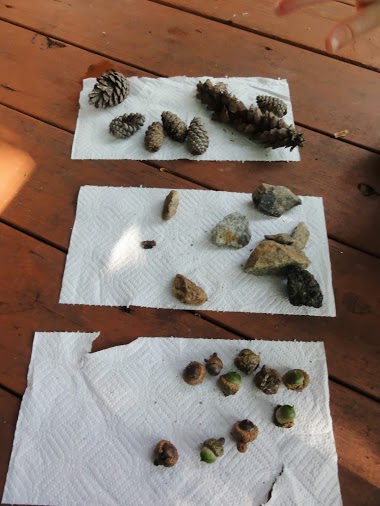 Acorn and pincone activities