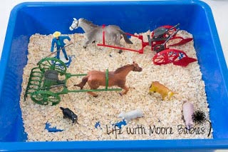 Play Farmer with this fun sensory bin