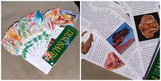 Dinosaur discovery cards