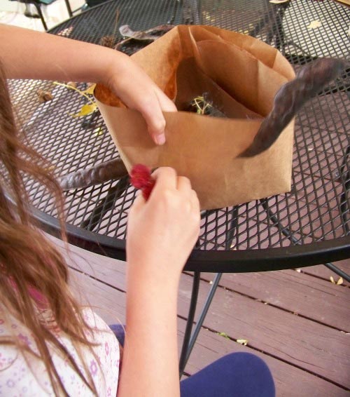 Creating a Nature Crown