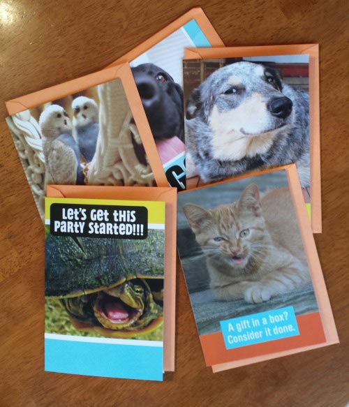 Hallmark #FunnyPetCards #shop