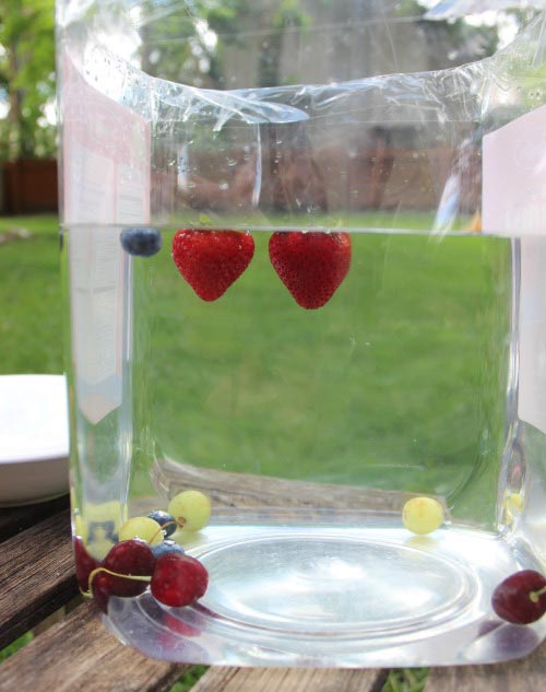 sink and float with fruit