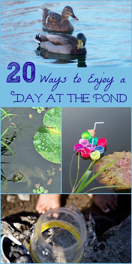 science and water activities for kids to do at the lake or pond
