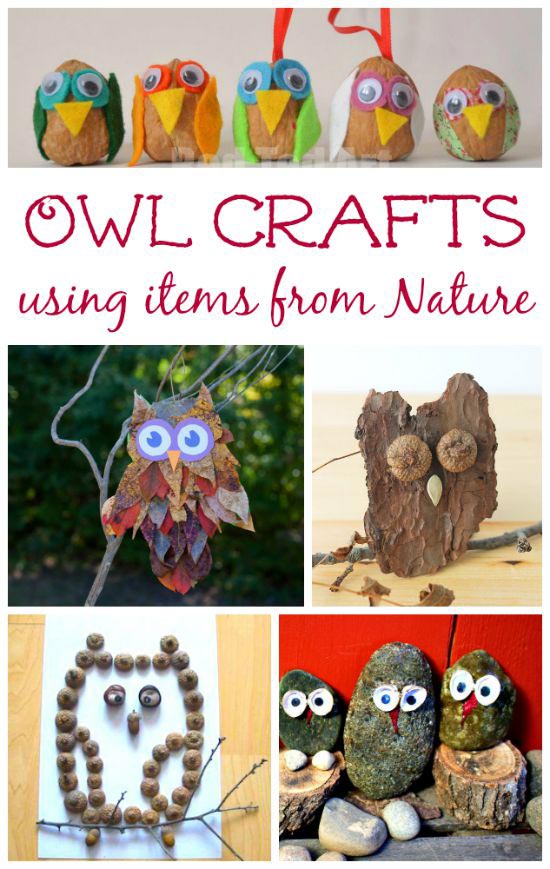 owl crafts for kids to make with items from nature