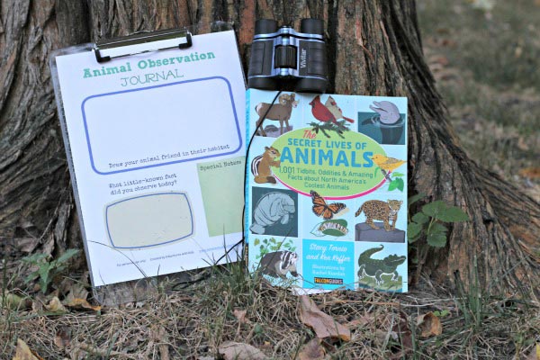 animal observation journal