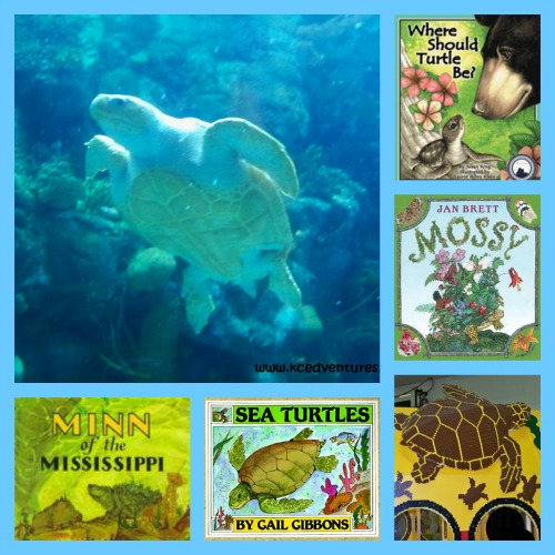 9 Children's Books about Turtles