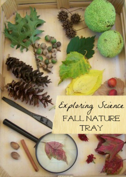 Fall nature table ideas and items to include for Autumn changes