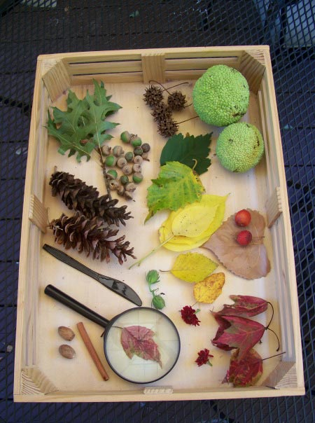 Beautiful nature table layout for Waldorf, Montessori or classroom setting!