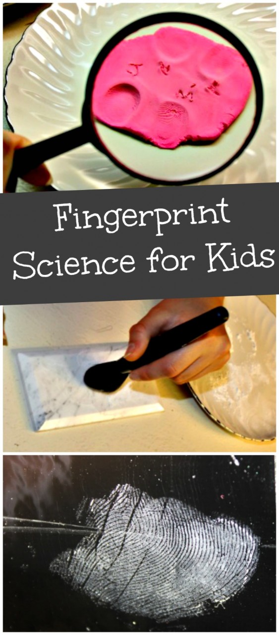 fingerprint science experiment scientific method