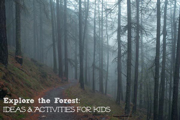 forest activities for kids, tweens & teens
