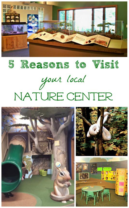 Fun activities and where to visit a nature center near me!