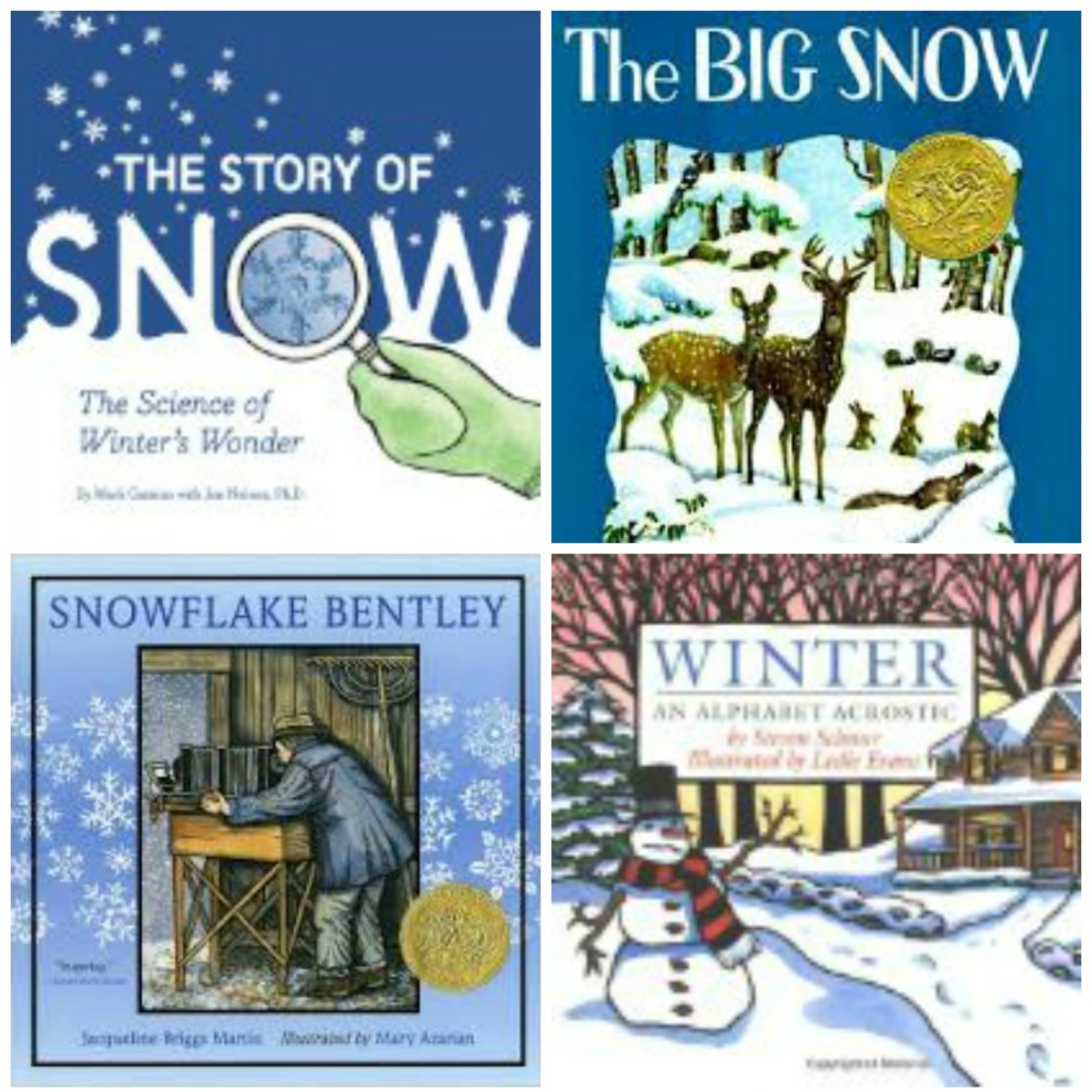 The Best Winter Themed Books for Kids - A Healthy Slice of Life