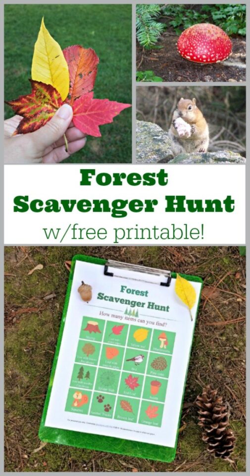 Walk in the Woods | Nature Hike Scavenger Hunt