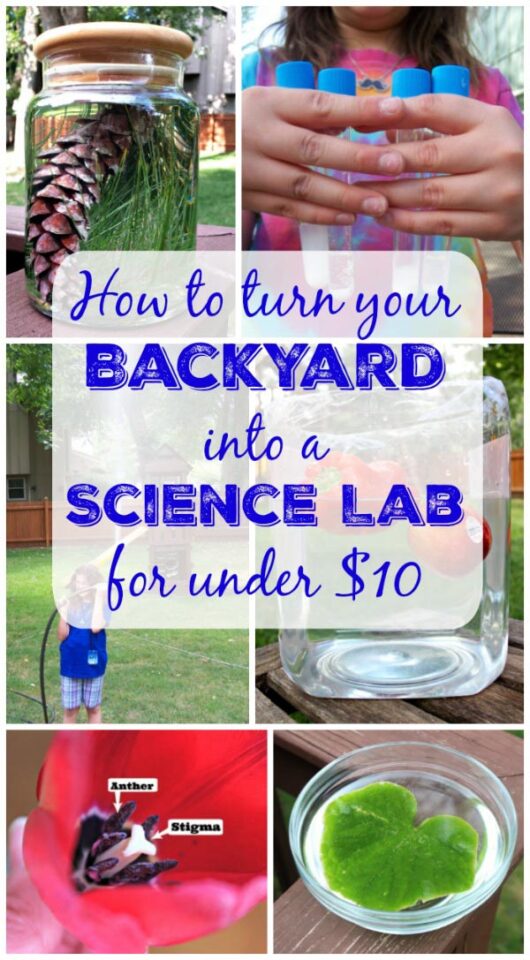 20 Outdoor Science Experiments | Backyard Science Activities