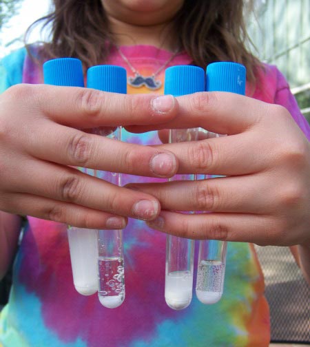 Ideas for outdoor science projects to do with kids