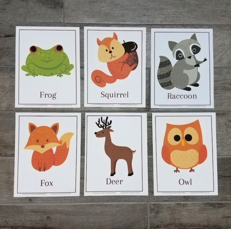 Woodland Memory & Matching Game