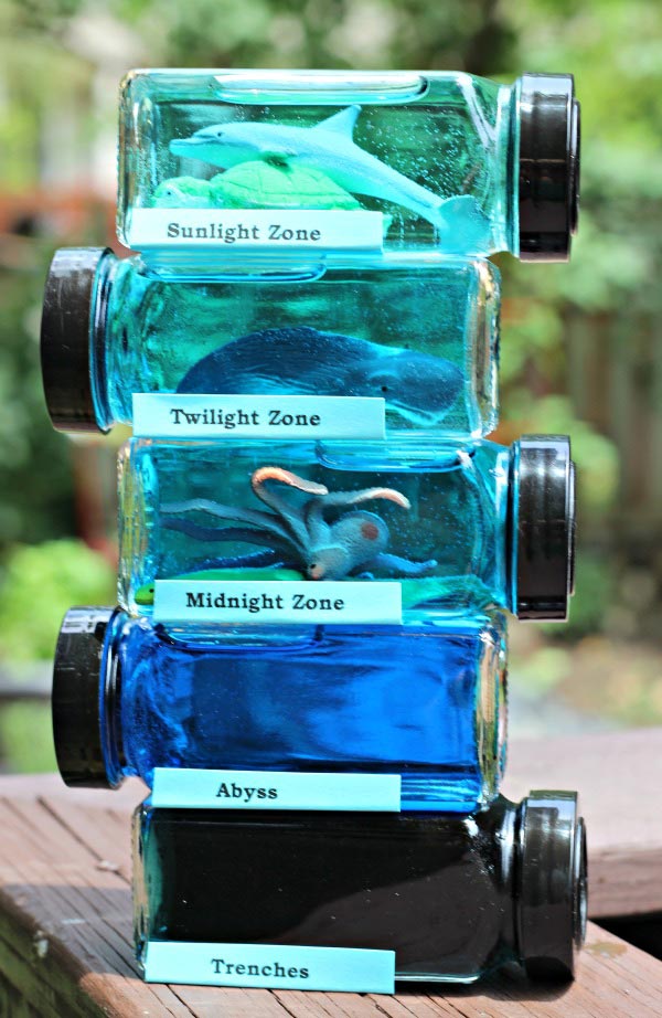 Teach kids about ocean zones and layers with this ocean in a jar activity!