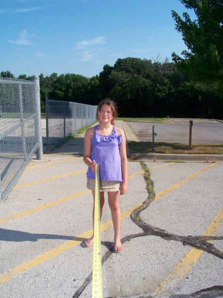 Outdoor Ocean STEM activity - measure and draw a whale