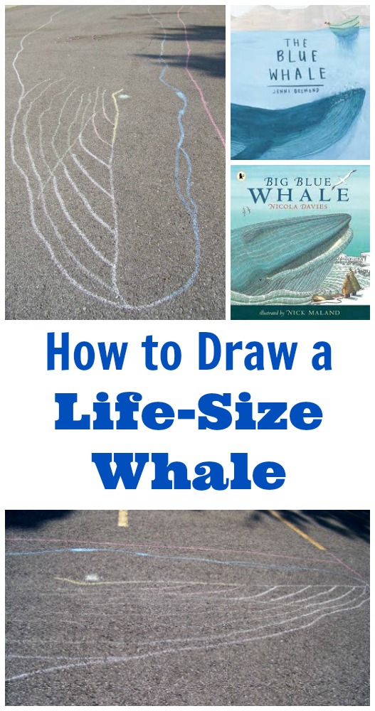 How big is a blue whale? Ocean STEM project for kids to do outside