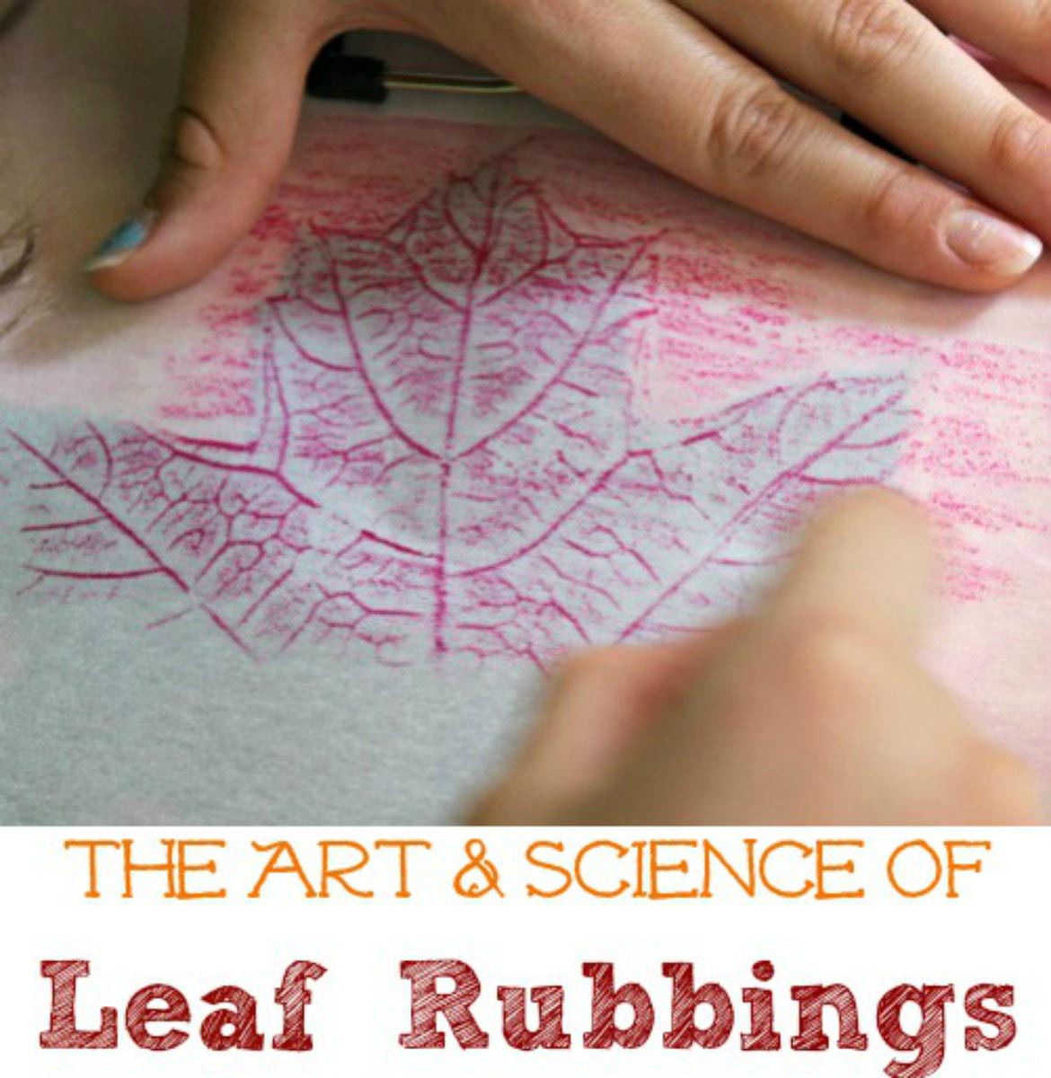 how to make leaf rubbings