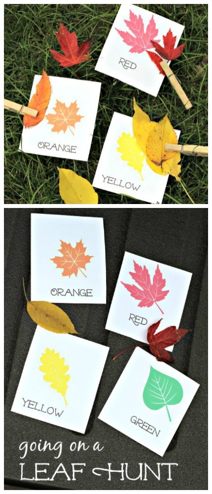 Leaf scavenger hunt with free printable cards!  Pair with the book We're Going on a Leaf Hunt