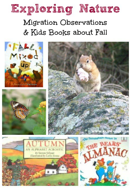 Fun Fall Activities - Explore Migration