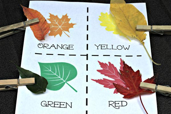 Fall leaf color matching activity perfect for toddlers and preschool kids!