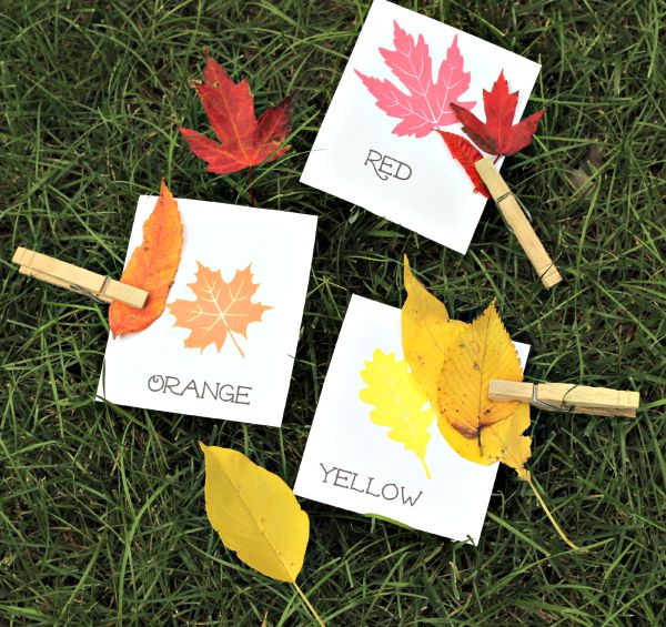 Fall leaf hunt activity for kids 