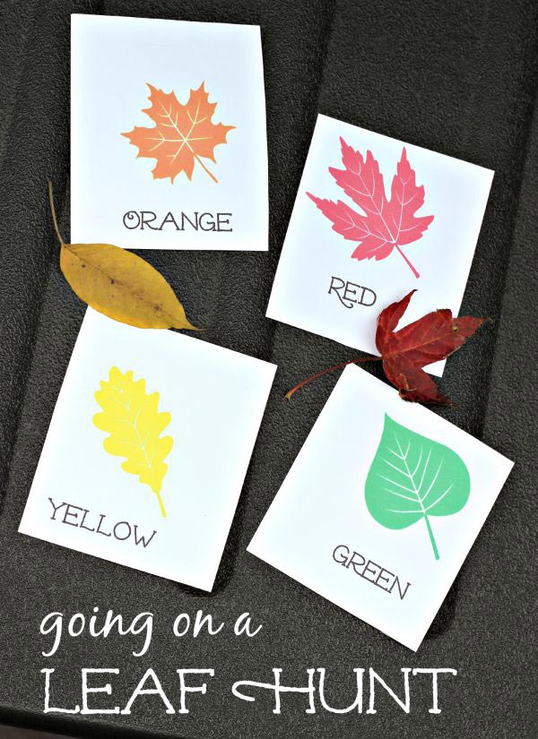 Leaf hunt activity with printable worksheet