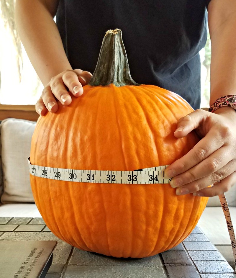 Pumpkin STEM activities for preschool and elementary