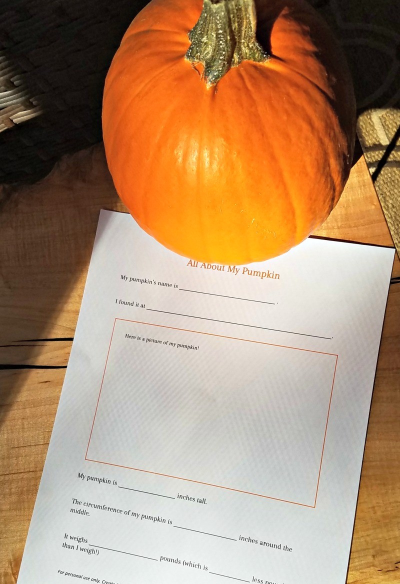 Pumpkin science, math and STEM activities