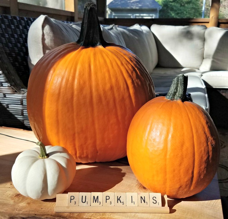Easy activities to do with a pumpkin