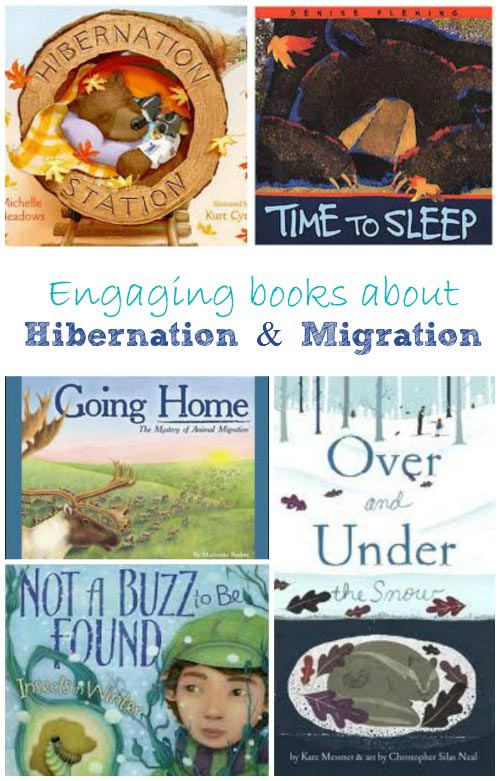 Wonderful Books about Hibernation and Migration