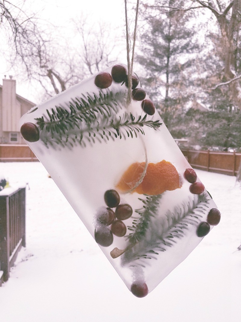 Winter craft ideas for kids - make a nature ice sun catcher