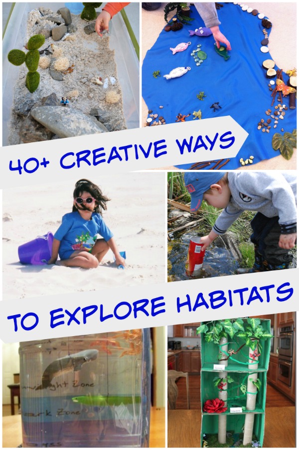 40 Animal Habitat projects and craft activities that explore animal homes