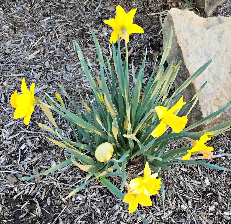 outdoor easter egg hunts for more than one person