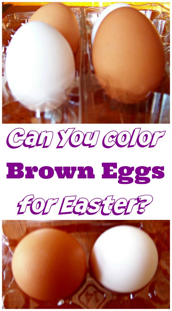 Can you Dye Brown Eggs for Easter