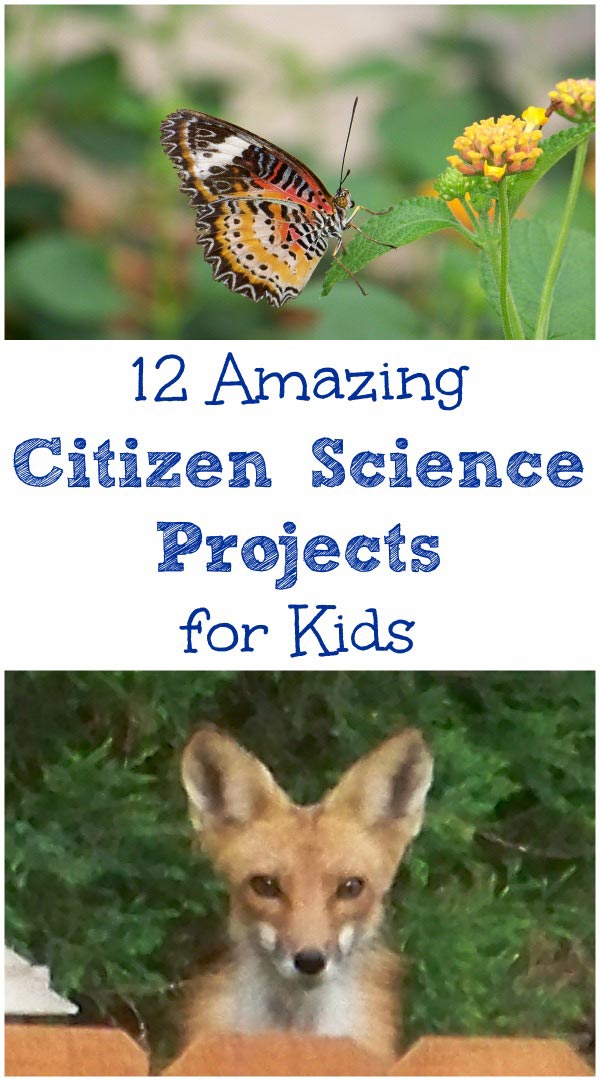 outdoor science activities for kids