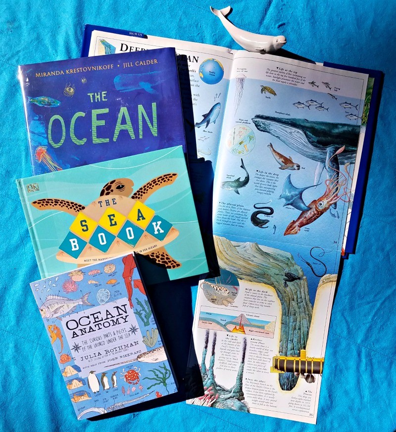 Children's books about ocean zones, marine animals and sea life