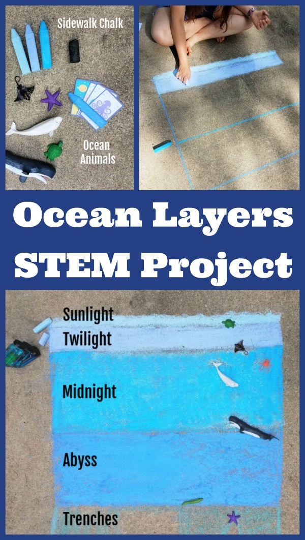 Ocean Activities for Kids - layers of the ocean and animal habitats 